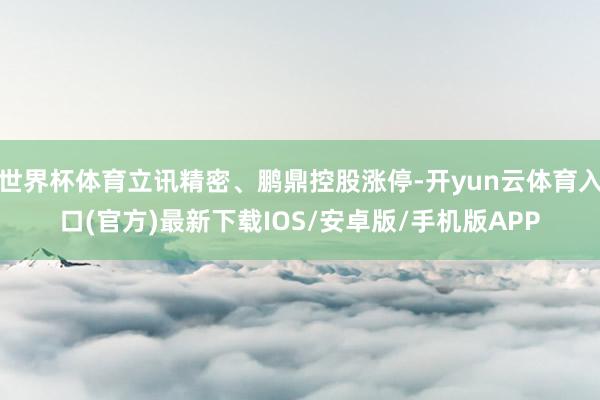 世界杯体育立讯精密、鹏鼎控股涨停-开yun云体育入口(官方)最新下载IOS/安卓版/手机版APP