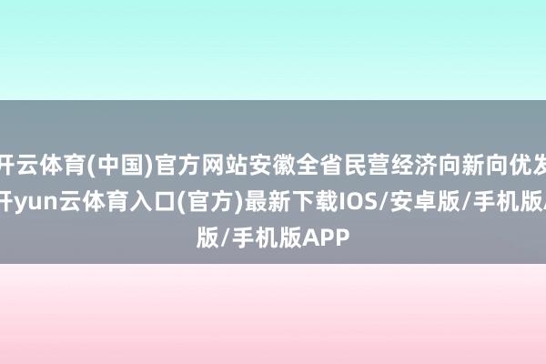 开云体育(中国)官方网站安徽全省民营经济向新向优发展-开yun云体育入口(官方)最新下载IOS/安卓版/手机版APP