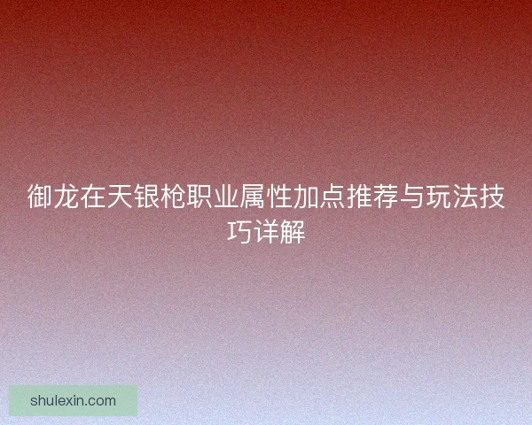 御龙在天银枪职业属性加点推荐与玩法技巧详解