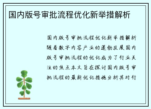国内版号审批流程优化新举措解析